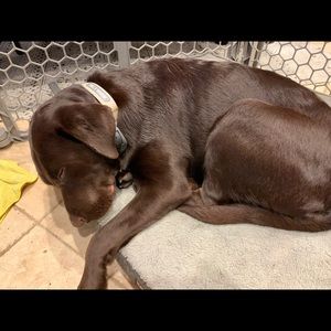 Meet your Posher, Scott